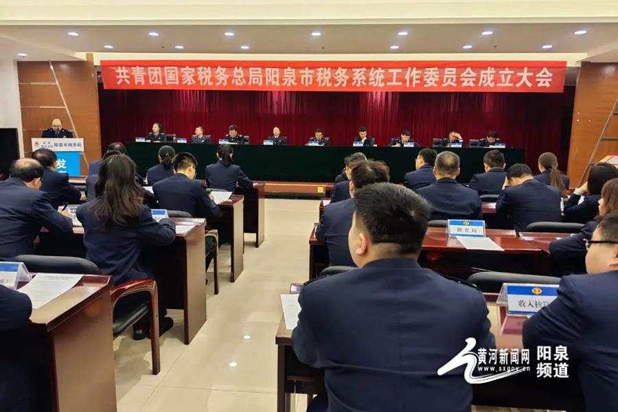 共青团国家税务总局阳泉市税务系统工作委员会成立