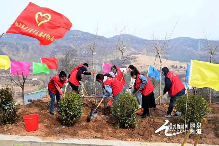 共青团阳泉市矿区委员会开展“‘植’此青绿 共‘树’未来”植树活动